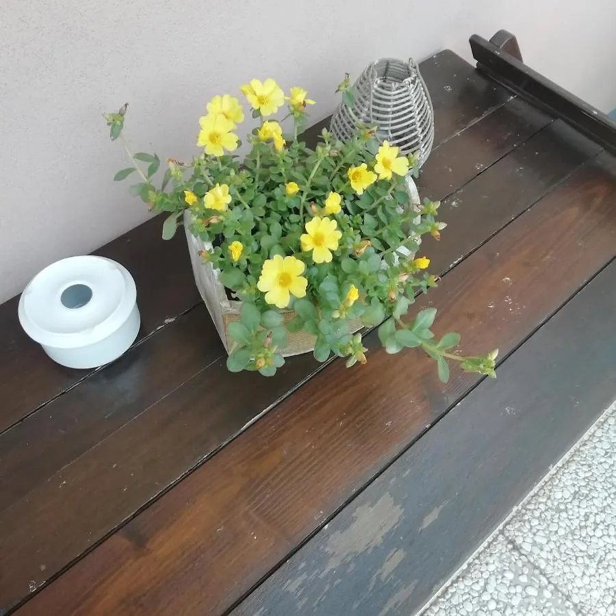 A&G Apartment Zanica Italie